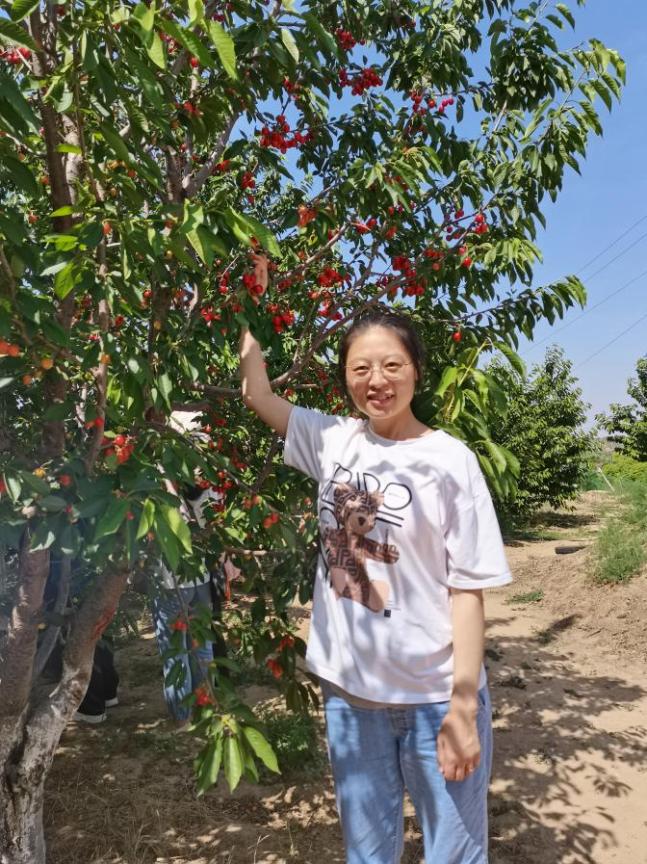 6e733c8fa4a808fe1e0e4d53b141846