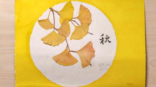 园艺2401 张丁文(1).jpg
