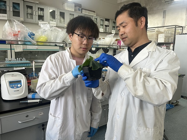 图片1 刘汉强老师与黄则强同学讨论学术问题.JPG