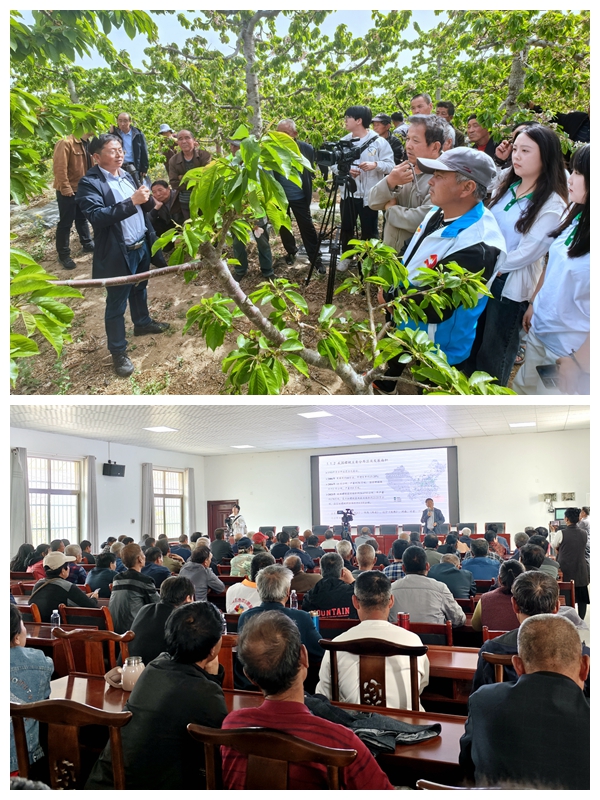 蔡宇良教授田间技术指导及理论培训现场.jpg
