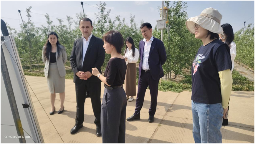 代表团考察示范园.png