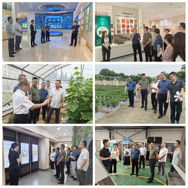 参观考察.jpg