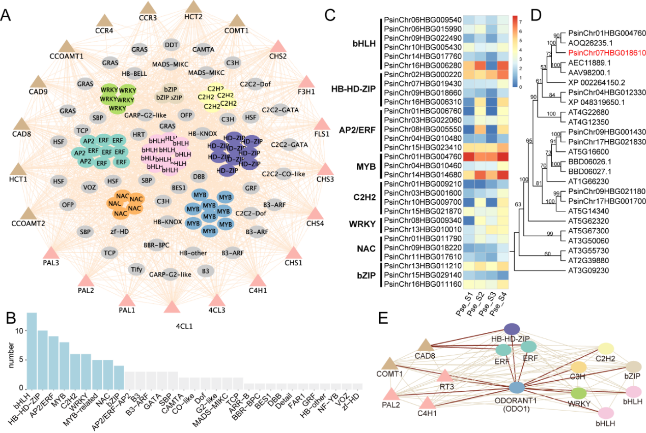图表 描述已自动生成