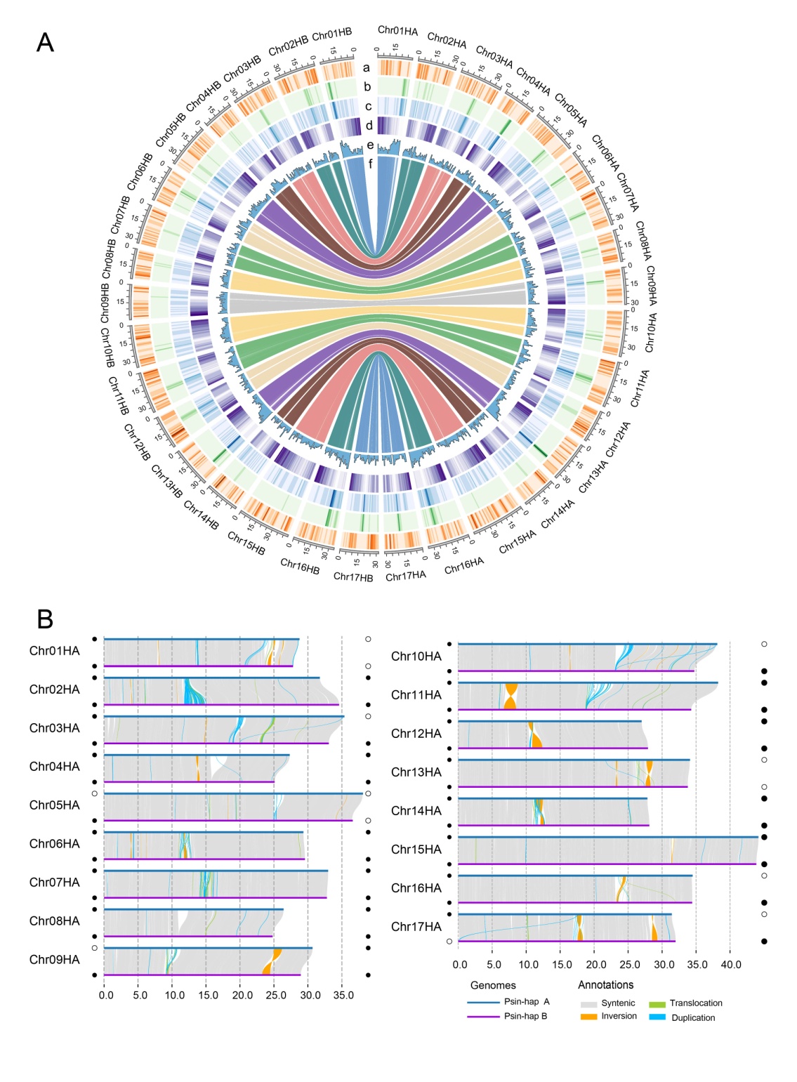 图表 描述已自动生成