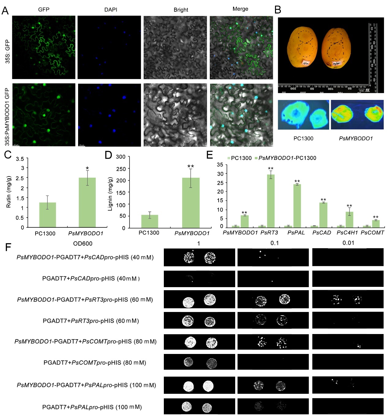 表格 AI 生成的内容可能不正确。