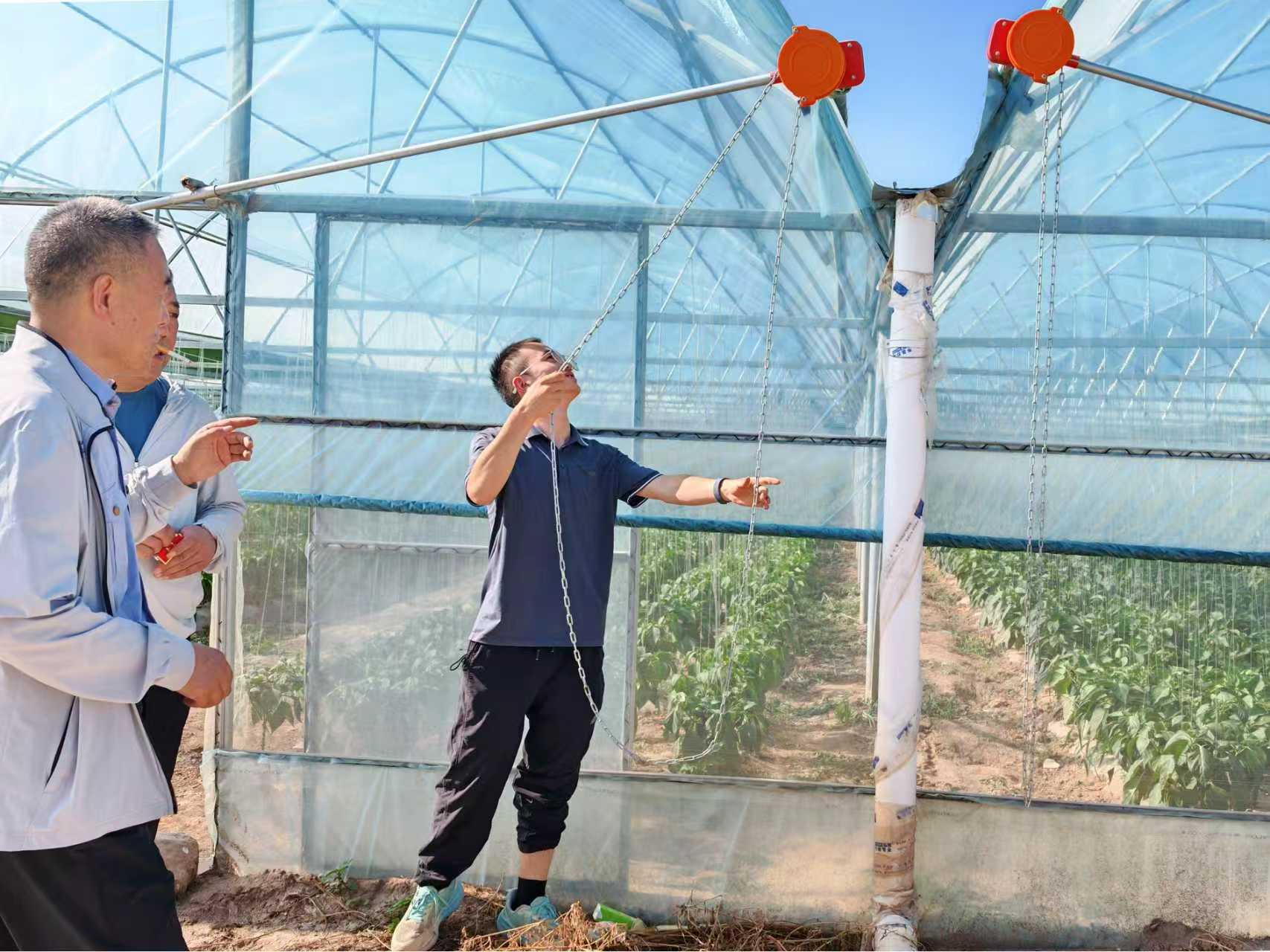 暑期实践投稿＋365英国上市官方网站赴西北干旱盐碱地设施番茄高质量发展调研服务队+科技赋能盐碱地 设施农业促振兴（图3）.jpg