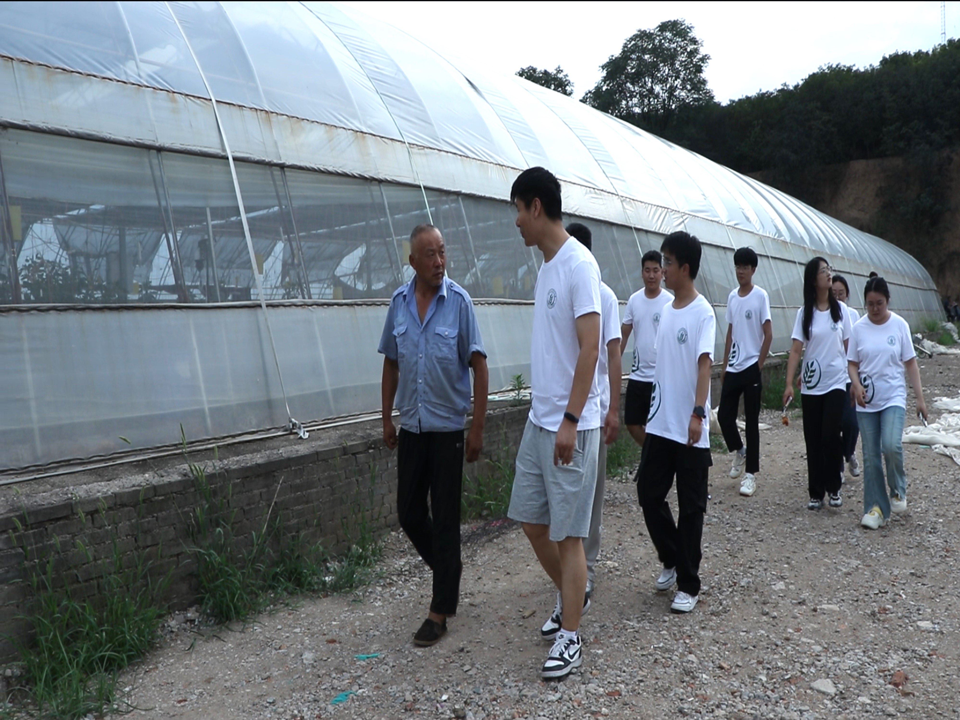 暑期社会实践投稿+365英国上市公司赴西北地区非耕地设施农业发展调研服务队＋西农学子西吉行：黄土塬上探寻非耕地设施的“绿色生机”图片2.jpg