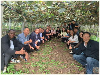 与会代表考察眉县贝壳即食猕猴桃生产示范点.png