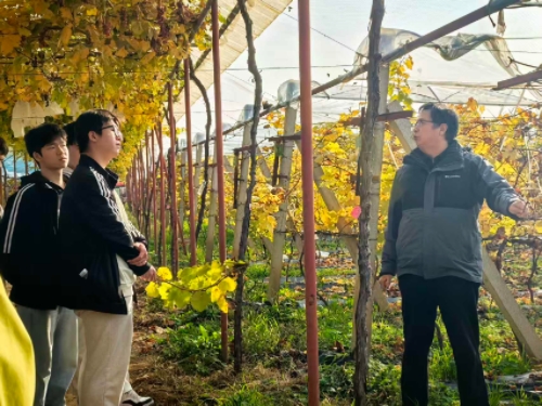 讲解种植方法 宽500.jpg