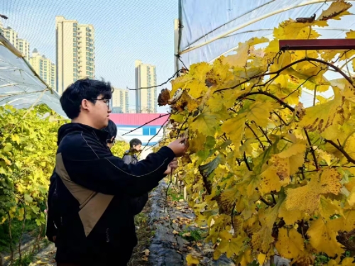 同学实践 宽500.jpg