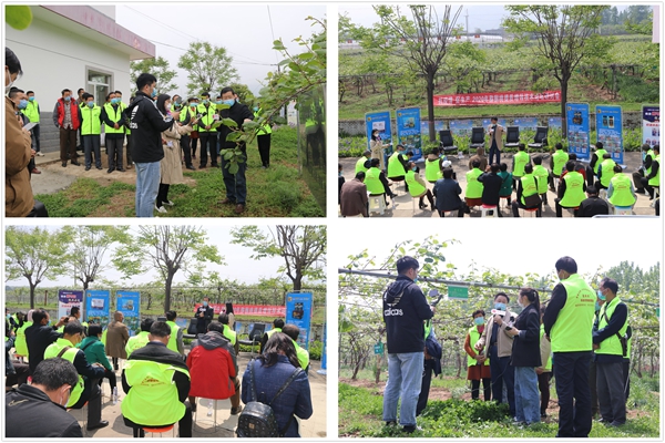 图3 猕猴桃试验站驻站转件进行现场直播培训.jpg