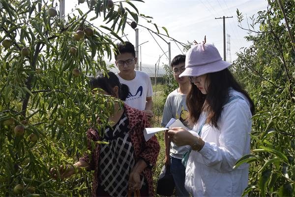 ffaf9f4c191f46e199587b7966c46439.jpg 队员们与农户攀谈.JPG