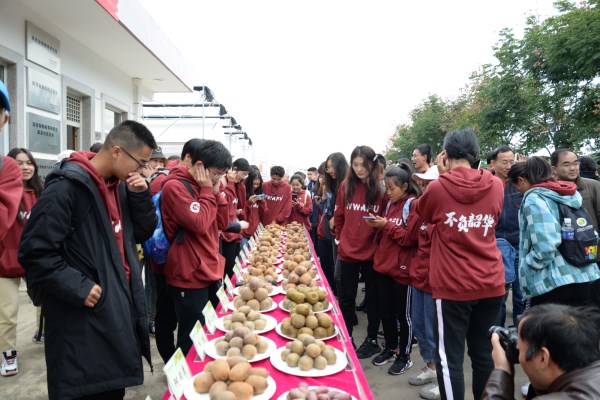师生品鉴猕猴桃.JPG