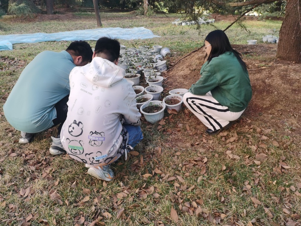 23a06932e00b457387685e7f6f69ac79.png 23a06932e00b457387685e7f6f69ac79.png