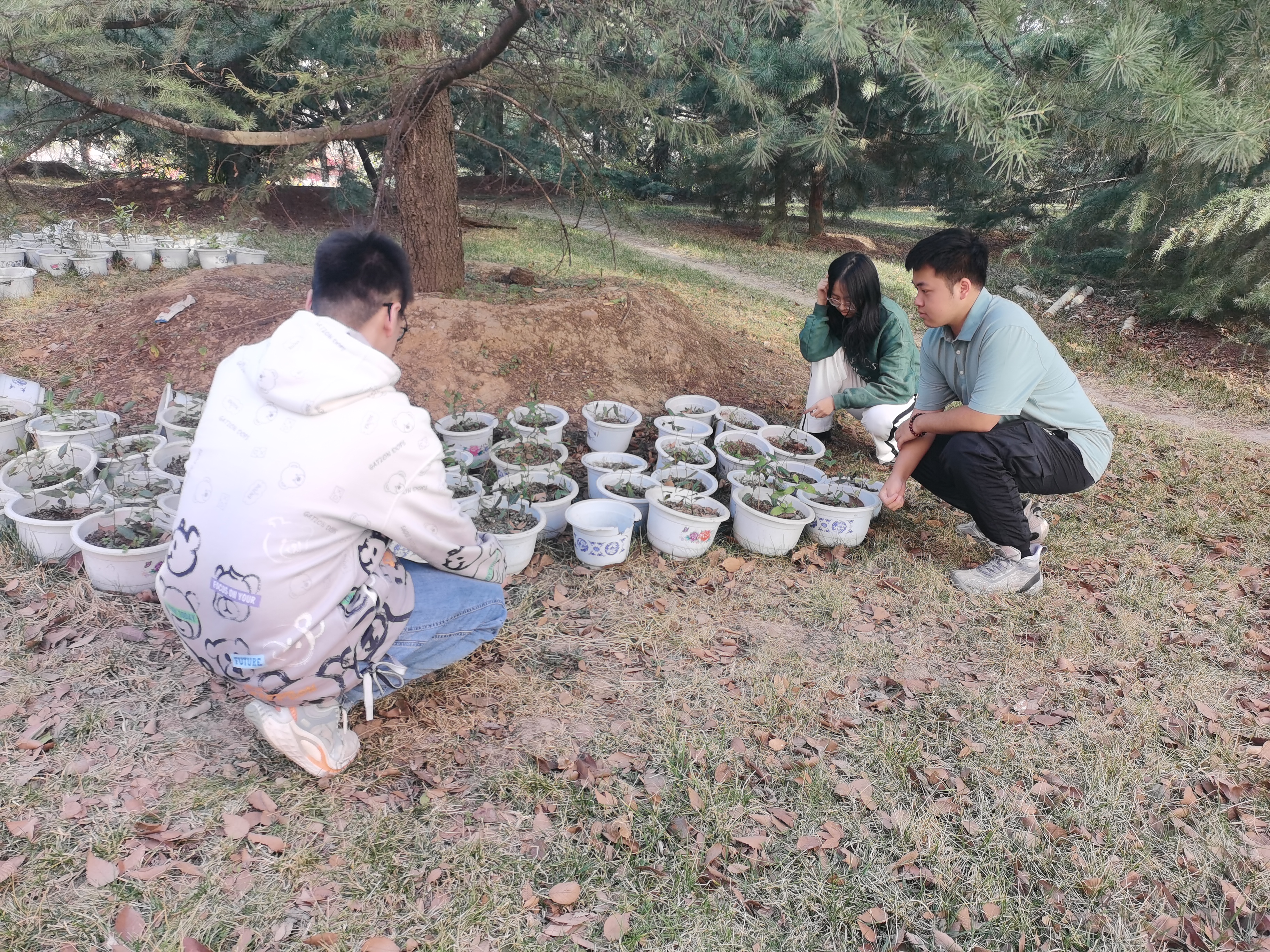 80ff27eb5e1f4ddaa0dfc48cb54a7b12.jpg 80ff27eb5e1f4ddaa0dfc48cb54a7b12.jpg