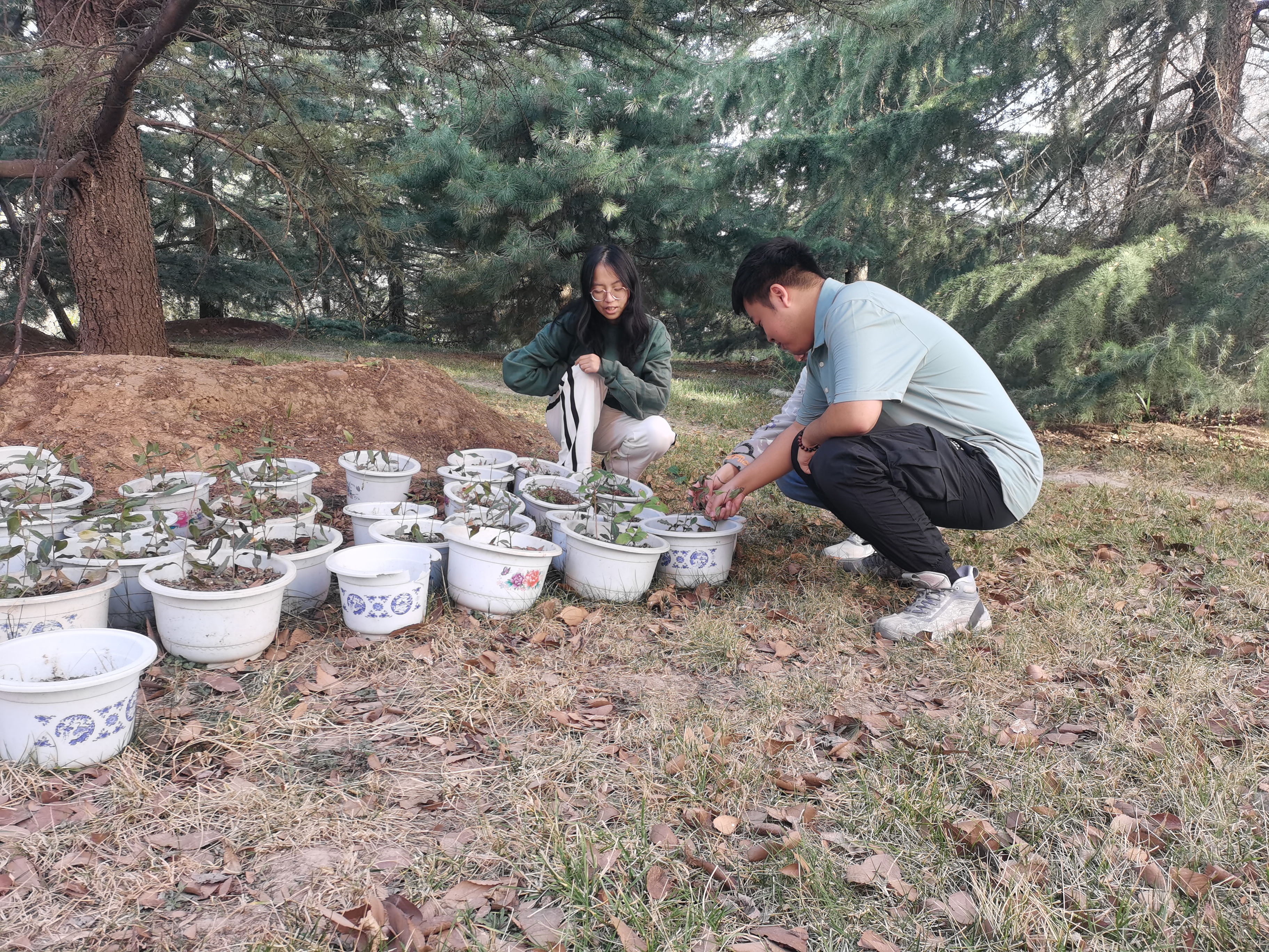 ea4dc0d3a380436ab82460a35d07550b.jpg ea4dc0d3a380436ab82460a35d07550b.jpg