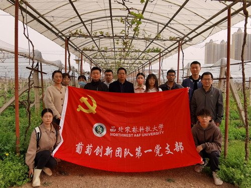 7fd2e07e352e4c678db77c65eb4f1018.jpg 葡萄创新团队第一党支部活动结束后合影.jpg